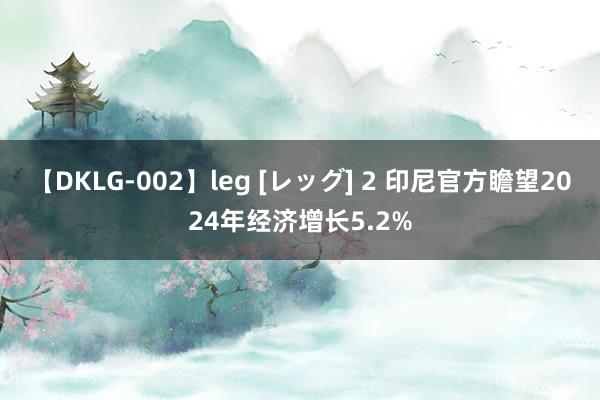 【DKLG-002】leg [レッグ] 2 印尼官方瞻望2024年经济增长5.2%