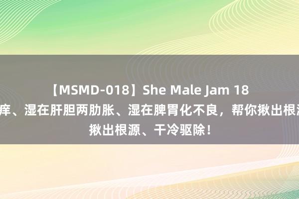 【MSMD-018】She Male Jam 18 湿鄙人焦阴瘙痒、湿在肝胆两肋胀、湿在脾胃化不良,帮你揪出根源、干冷驱除!