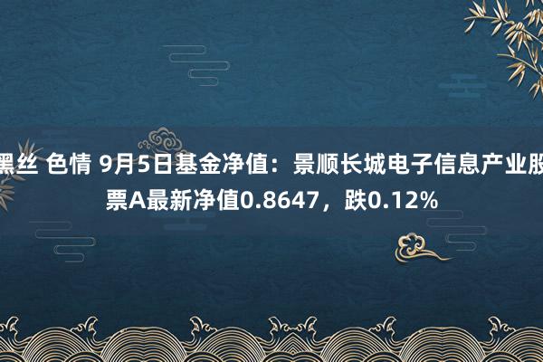 黑丝 色情 9月5日基金净值：景顺长城电子信息产业股票A最新净值0.8647，跌0.12%