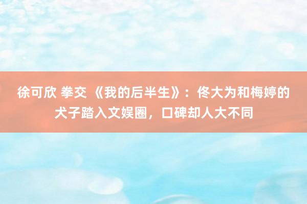 徐可欣 拳交 《我的后半生》：佟大为和梅婷的犬子踏入文娱圈，口碑却人大不同