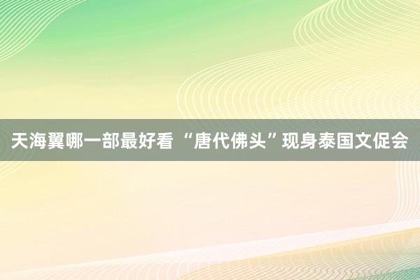 天海翼哪一部最好看 “唐代佛头”现身泰国文促会