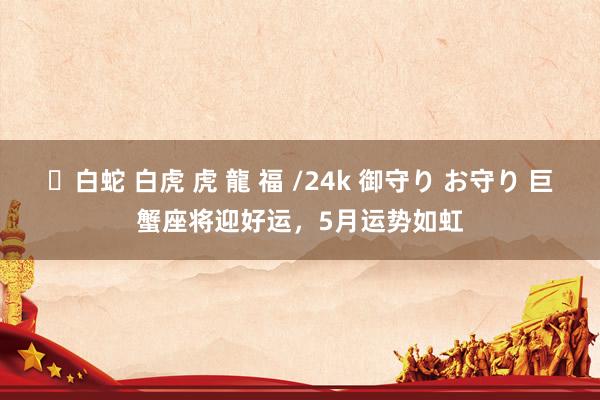 ✨白蛇 白虎 虎 龍 福 /24k 御守り お守り 巨蟹座将迎好运，5月运势如虹