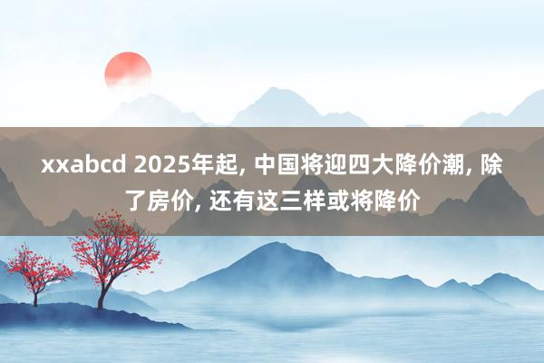 xxabcd 2025年起, 中国将迎四大降价潮, 除了房价, 还有这三样或将降价