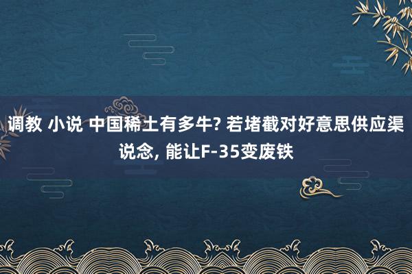 调教 小说 中国稀土有多牛? 若堵截对好意思供应渠说念, 能让F-35变废铁