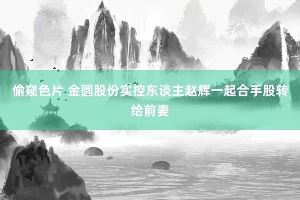 偷窥色片 金圆股份实控东谈主赵辉一起合手股转给前妻