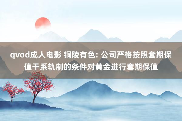 qvod成人电影 铜陵有色: 公司严格按照套期保值干系轨制的条件对黄金进行套期保值