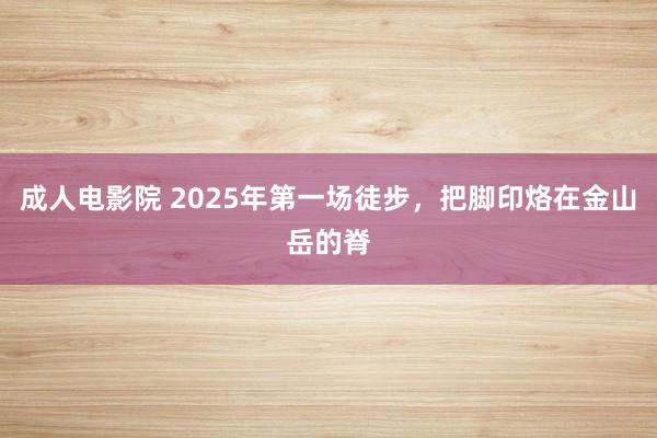 成人电影院 2025年第一场徒步，把脚印烙在金山岳的脊