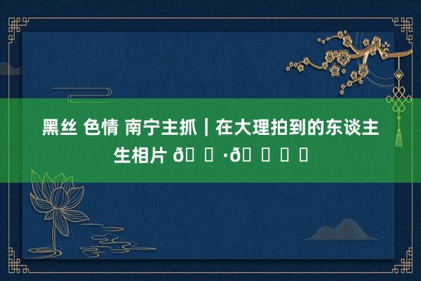 黑丝 色情 南宁主抓｜在大理拍到的东谈主生相片 📷🏝️