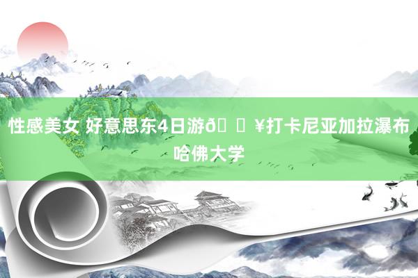 性感美女 好意思东4日游🔥打卡尼亚加拉瀑布哈佛大学