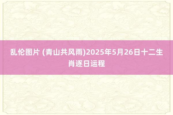 乱伦图片 (青山共风雨)2025年5月26日十二生肖逐日运程