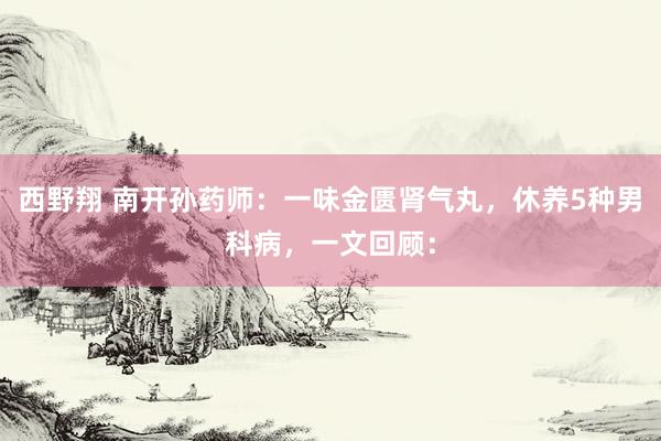 西野翔 南开孙药师：一味金匮肾气丸，休养5种男科病，一文回顾：