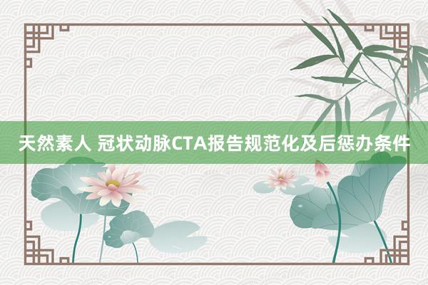 天然素人 冠状动脉CTA报告规范化及后惩办条件